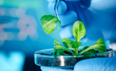 The Advancements of Biotechnology and Its Impacts on Society